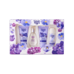 Coffret Tulipan Negro Sweet Violette