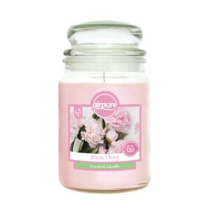 AIREPURE Bougies parfumées en pot de 510 ml – Pomme cannelle